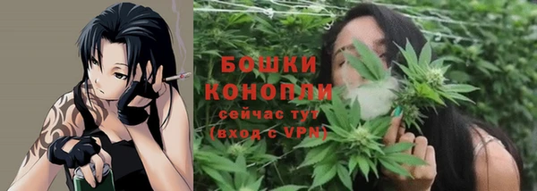 spice Армянск