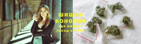 ГАЛЛЮЦИНОГЕННЫЕ ГРИБЫ Балабаново
