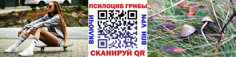 Галлюциногенные грибы Magic Shrooms  купить закладку  Горячеводский 