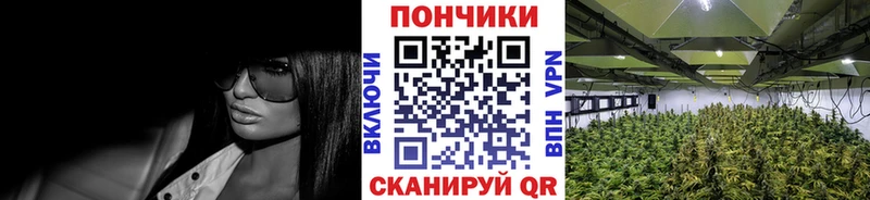 магазин продажи наркотиков  Горячеводский  Конопля тримм 